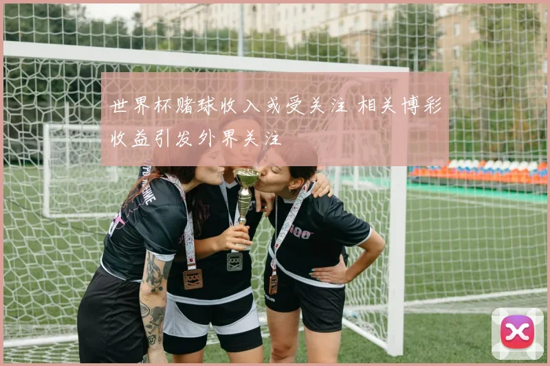 世界杯赌球收入或受关注 相关博彩收益引发外界关注