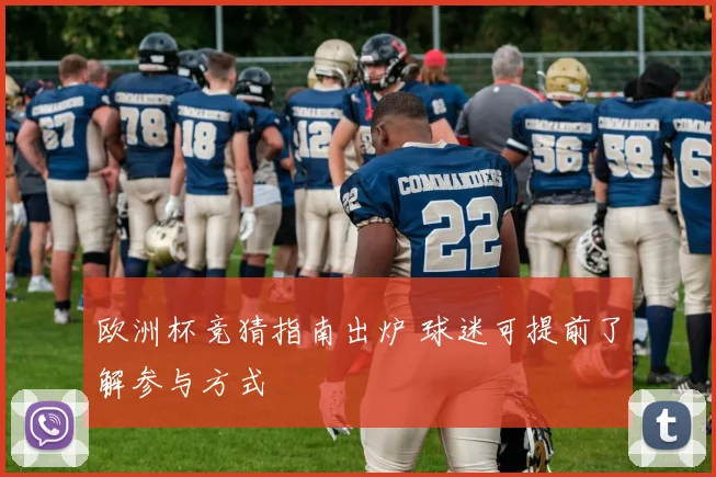 欧洲杯竞猜指南出炉 球迷可提前了解参与方式