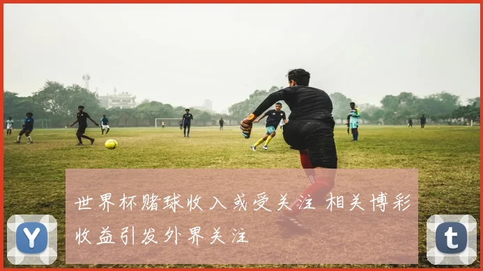 世界杯赌球收入或受关注 相关博彩收益引发外界关注