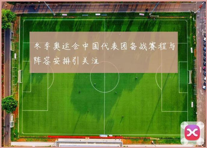 冬季奥运会中国代表团备战赛程与阵容安排引关注