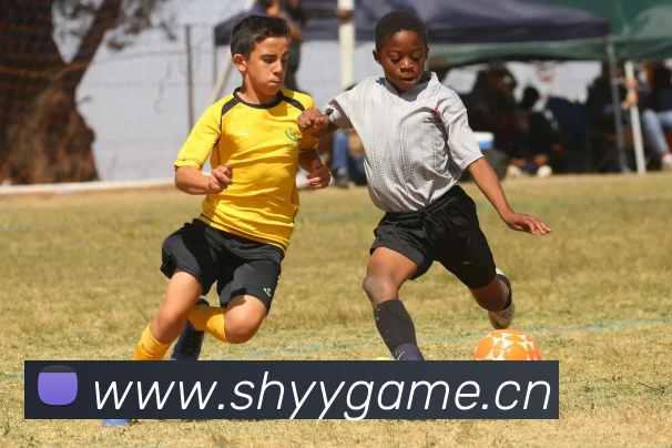 Kaiyun (中国官方网站) - 官方认证的服务平台品牌故事