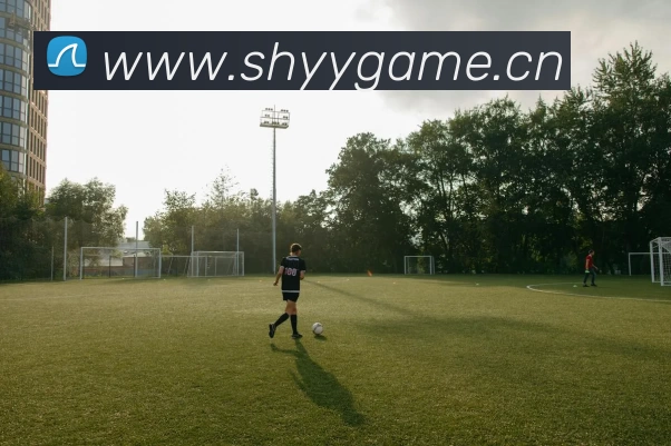 Kaiyun (中国官方网站) - 官方认证的服务平台服务体系